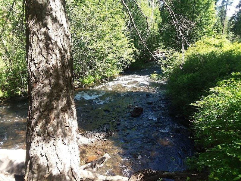 Photo by Tammy Hoage (Google)