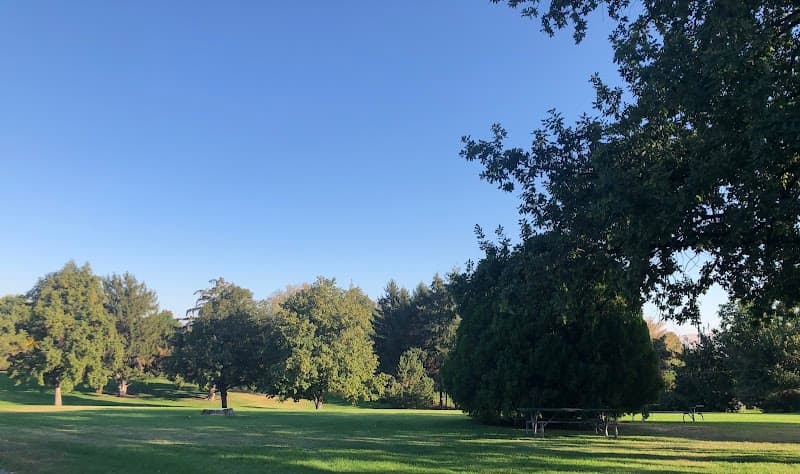 Photo by Chelsie Rogers (Google)