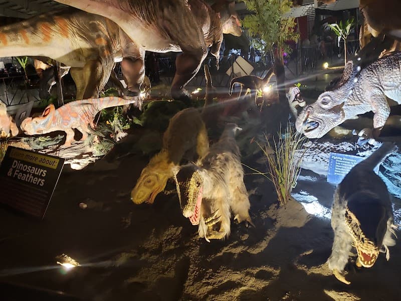 Photo by Rosanna Grabner (Google)