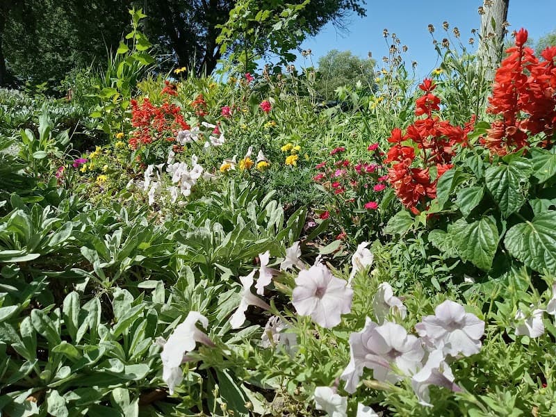 Photo by D E W Adventures (Google)