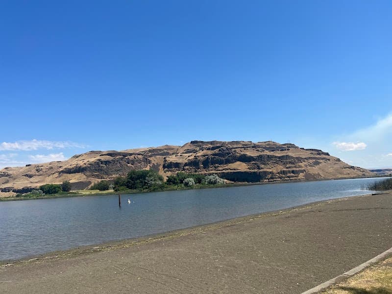 Photo by Theresa Smidt (Google)