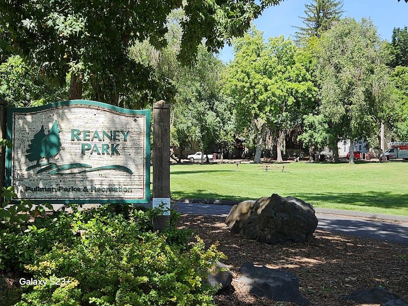 Photo by Joy McIlvaine (Google)