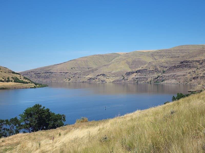 Photo by Angus McLeod (Google)