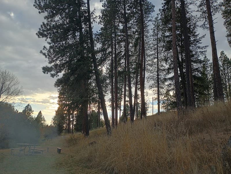 Photo by DN OUX (Google)