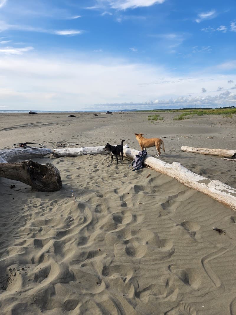 Photo by Blooberry Baggens (Google)