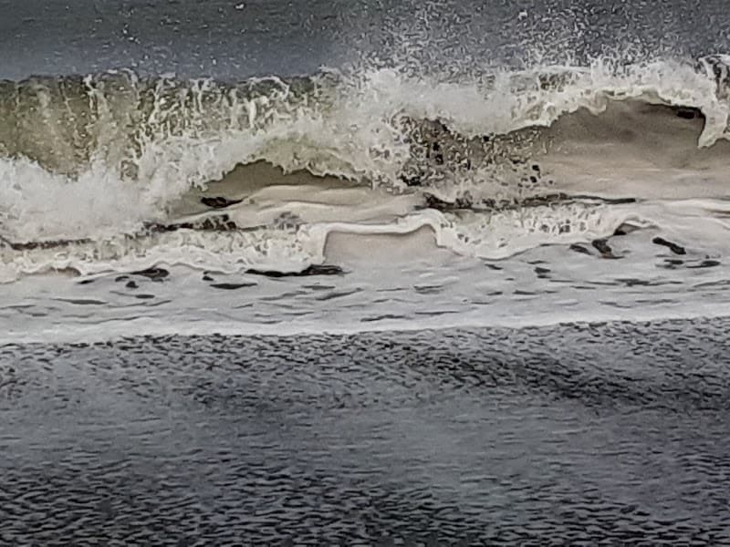 Ocean Shores Outdoor Recreation Club