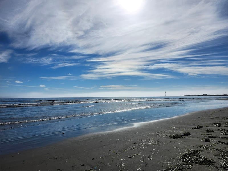 Photo by Merrill Cohen (Google)