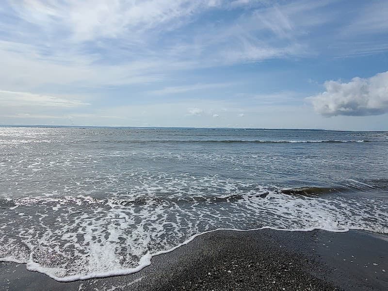 Photo by Tiffani Williams (Google)