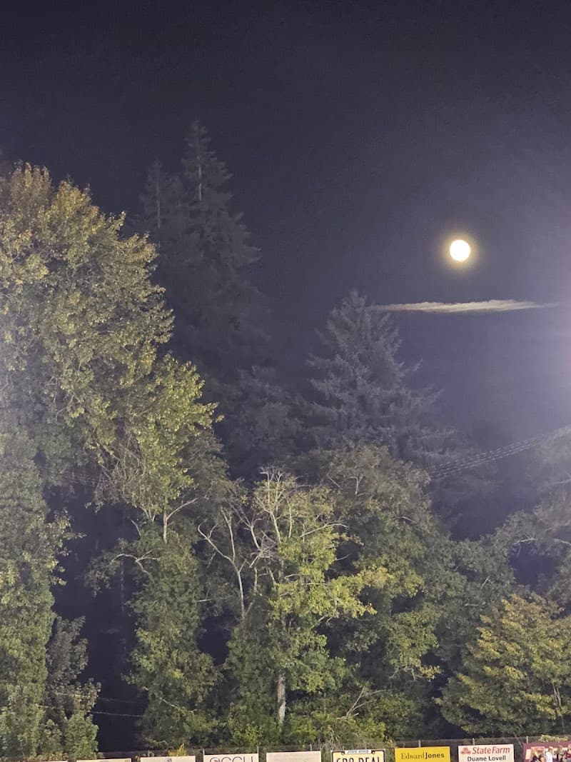 Photo by David Williams (Google)