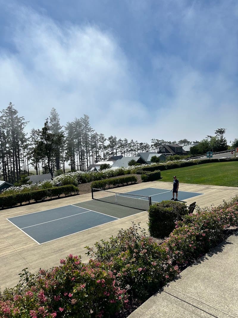 Photo by Michelle Kozlowski (Google)