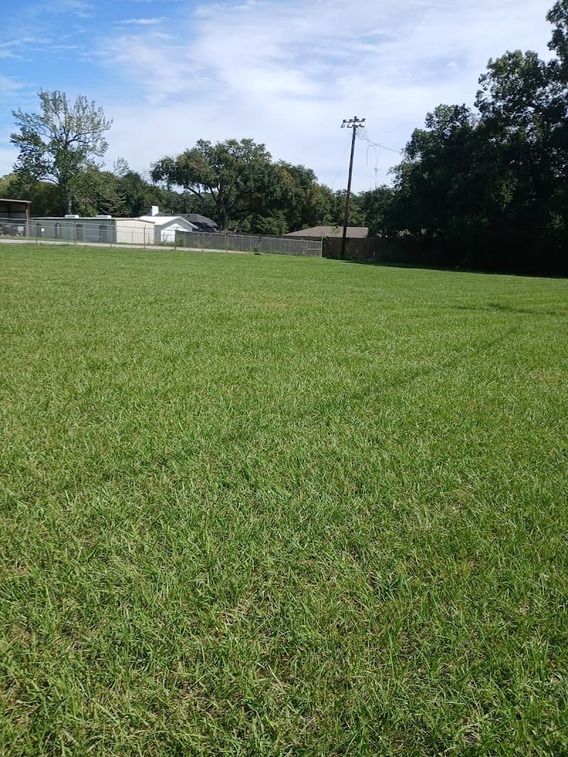 Photo by Megan Pepper (Meg) (Google)