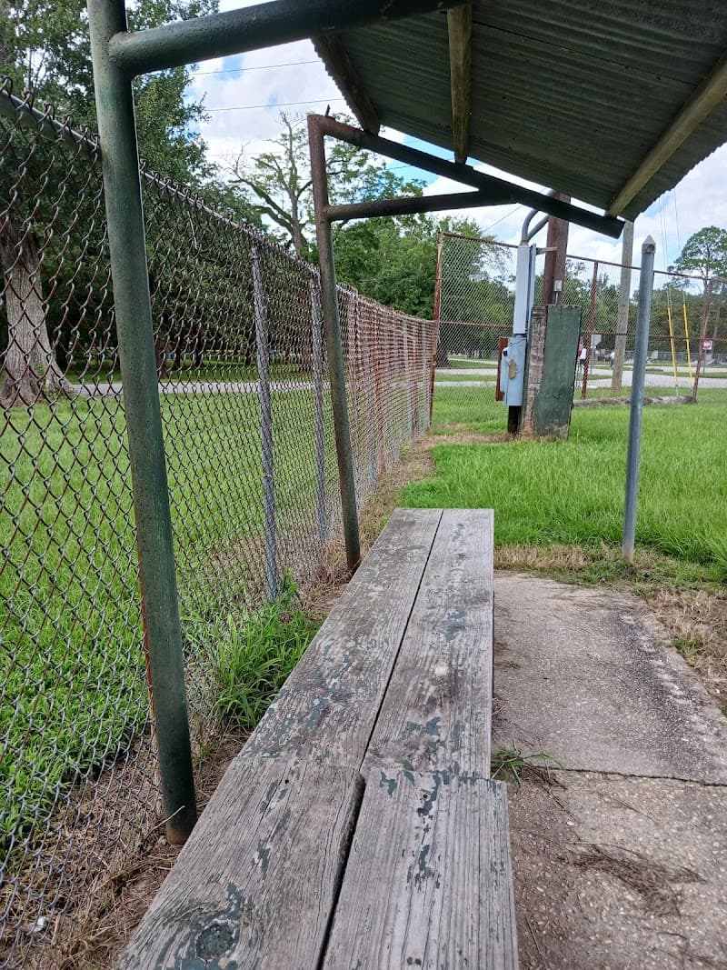 Photo by Megan Pepper (Google)