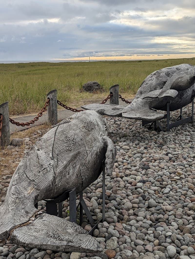Seashore Conservation Area State Park