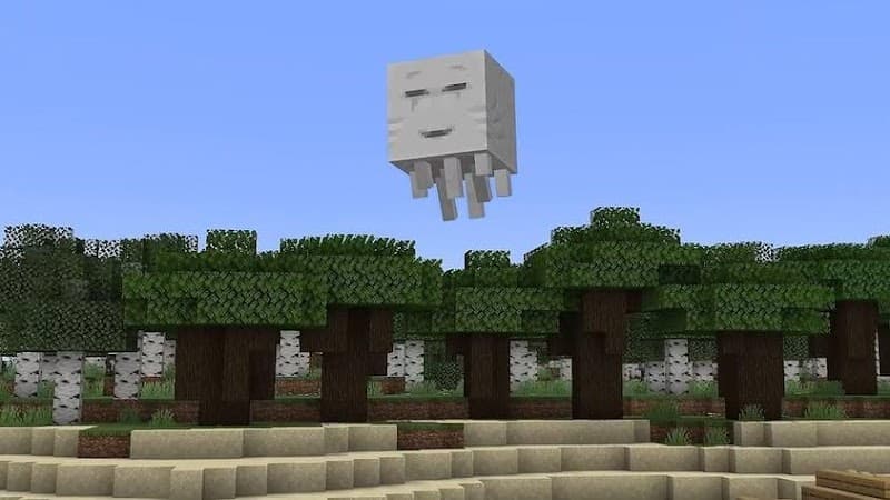 Photo by Jesus Chavez (Google)