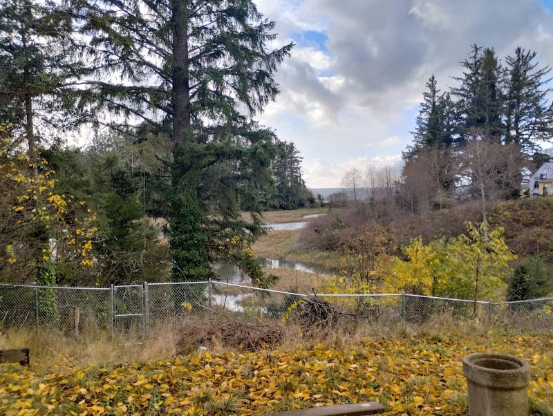 Photo by Kim Glover (Google)