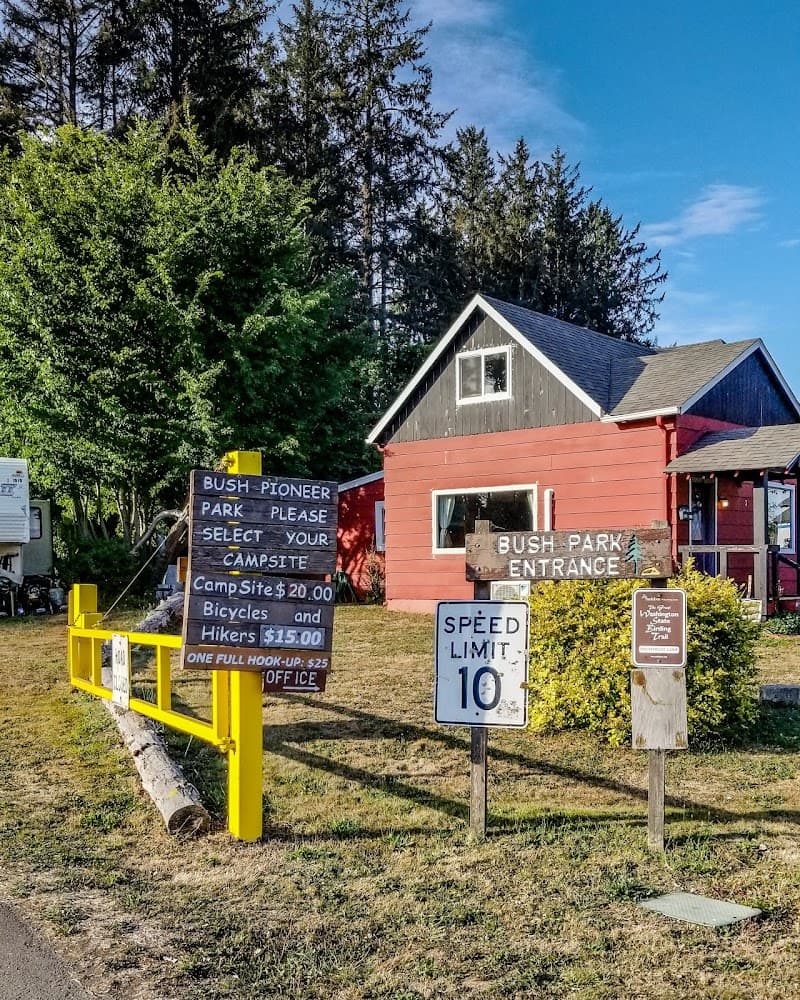 Photo by Sara Neave (Google)