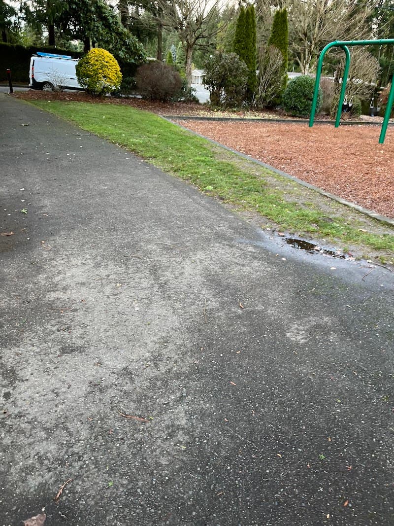 Photo by Prashant KC (Google)