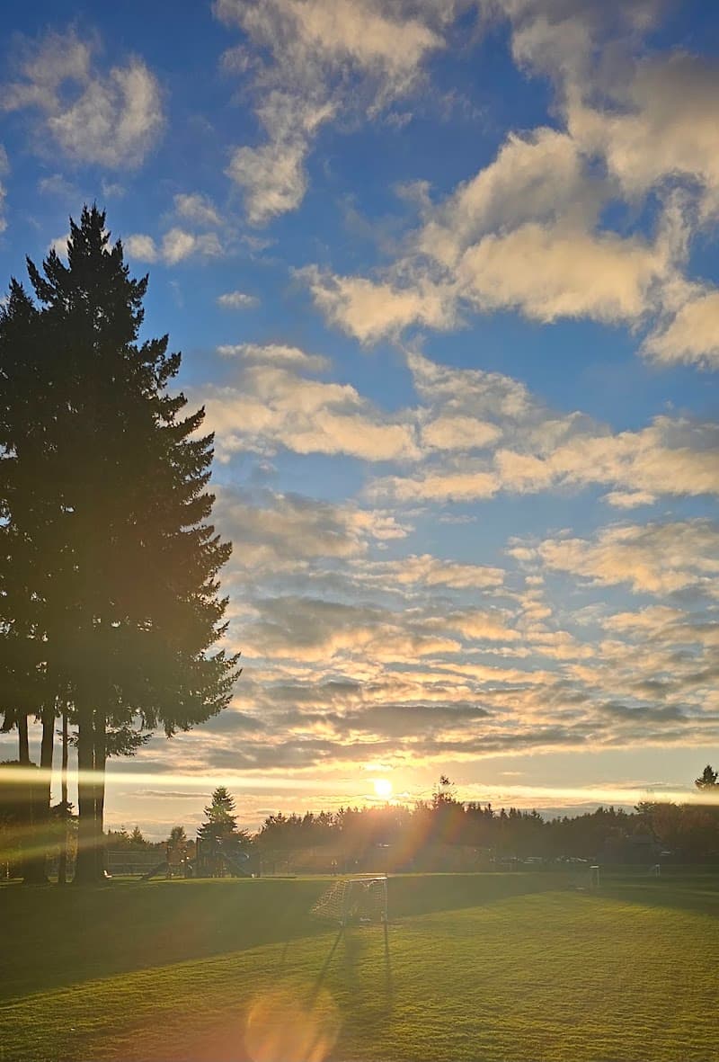 Photo by Miguel Giron (Google)