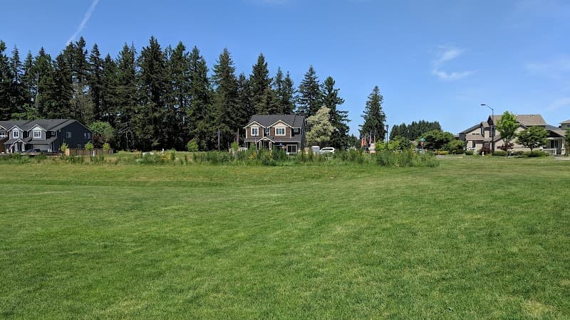 Photo by Austin (Google)