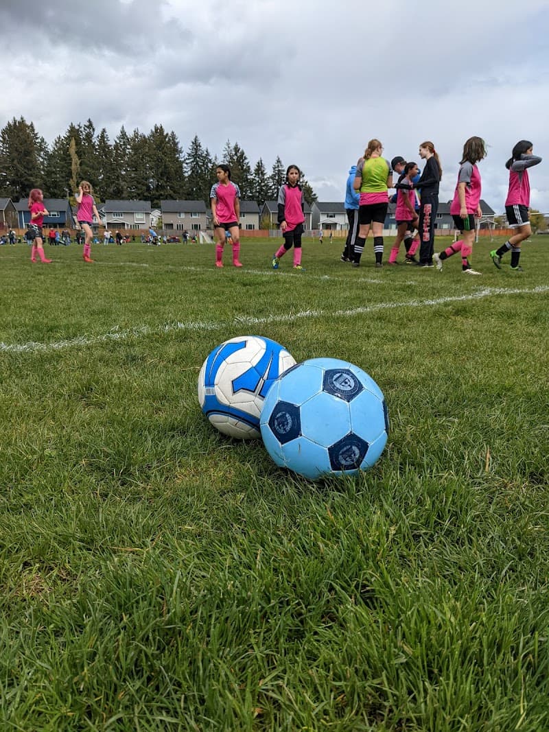 Photo by Camila Iglesias (Google)