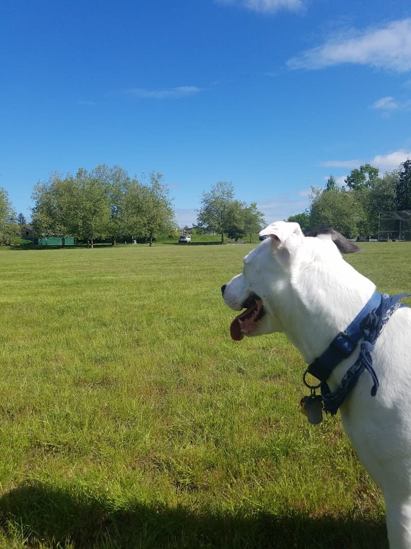 Photo by Zebb Bruser (Google)