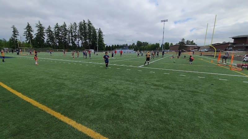 Photo by Lynette Soto (Google)