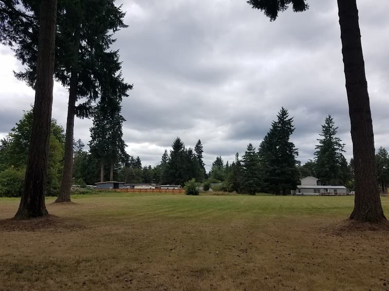 Photo by Mariko Nicoletti (Google)