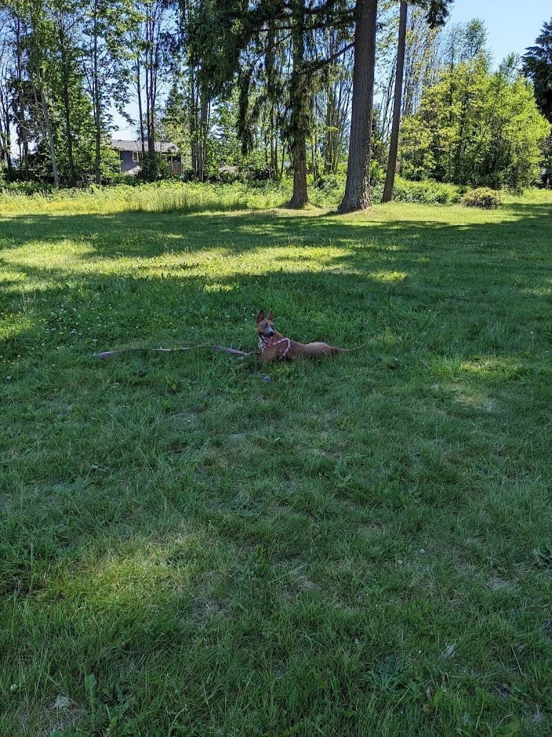 Photo by Laura Hiller (Google)