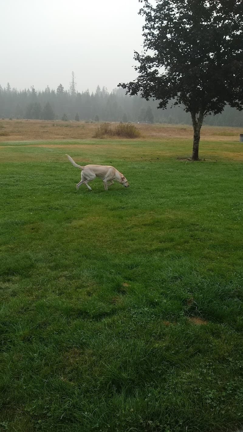 Photo by Alyssa Thompson (Google)