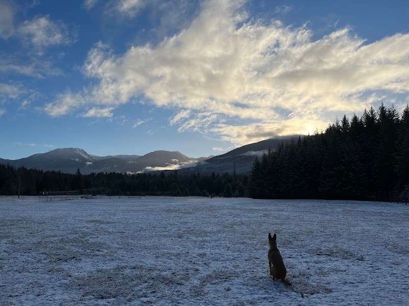 Photo by Shelly Malleis (Google)