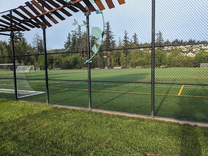 Photo by saroja Arunkumar bhat (Google)