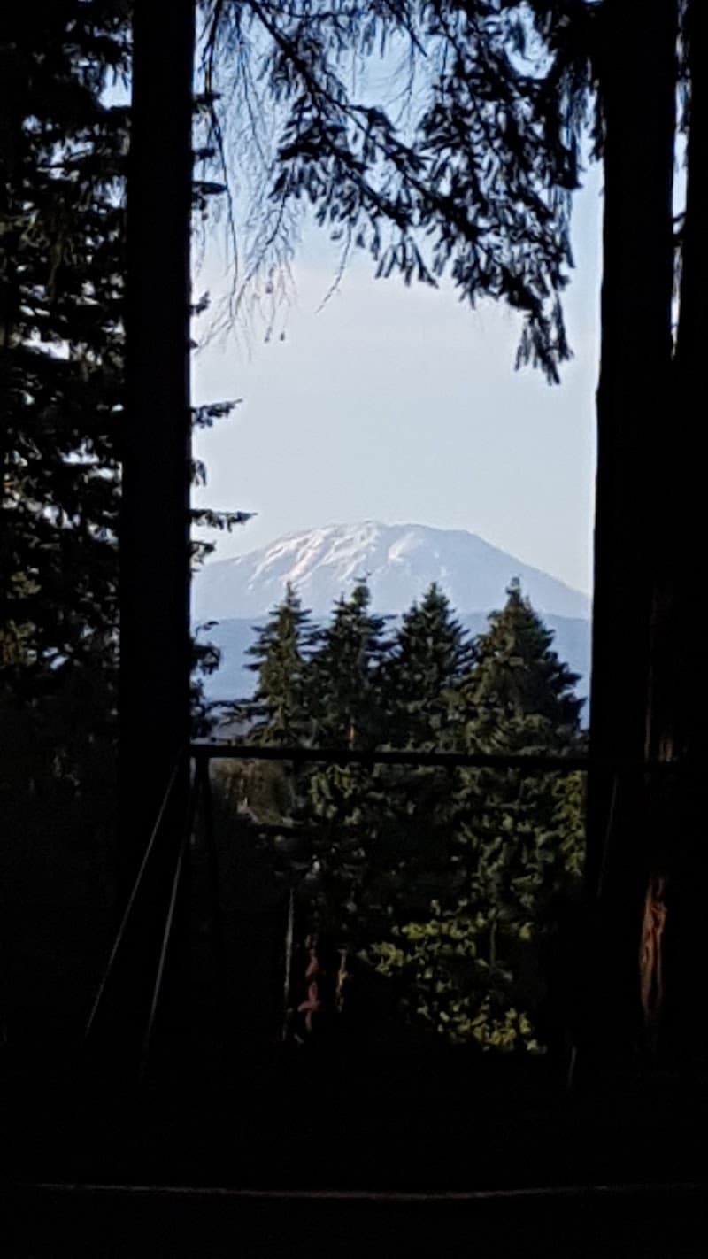 Photo by Paul Harris (Google)