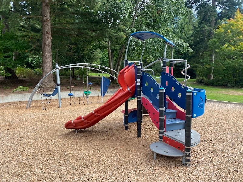 Photo by M Saka (Google)