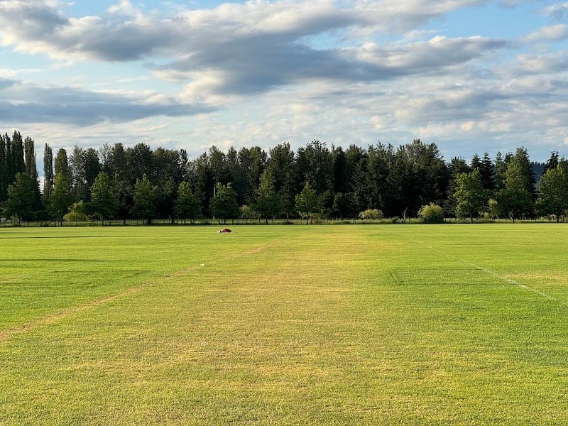 Photo by Aryna Andriichenko (Google)