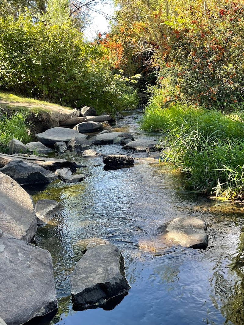 Photo by Denise Barney (Google)