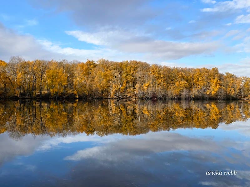 Photo by Aricka Webb (Google)