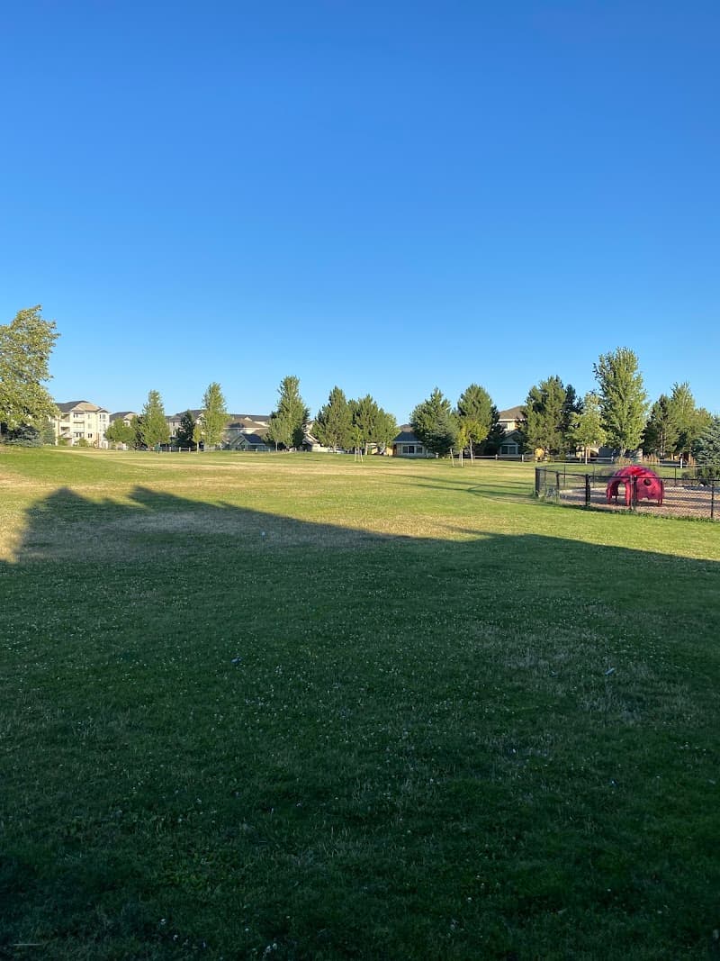 Photo by The Audacious Aries (Google)