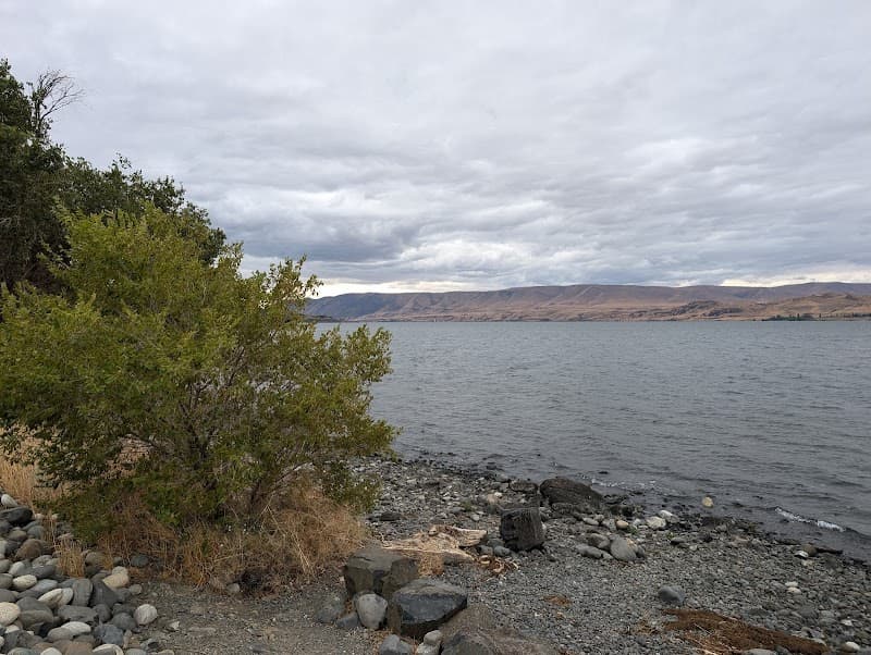 Photo by chris kelly (Google)