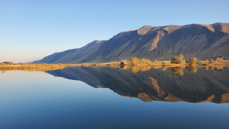 Photo by William Rogers (Google)