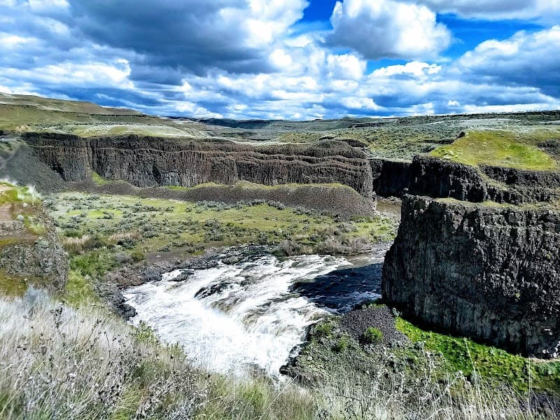 Photo by Lana Jones (Google)