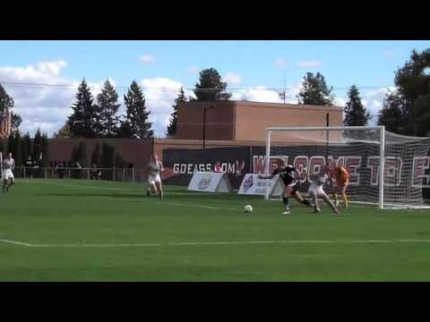 Photo by Noah Ziemann (Google)