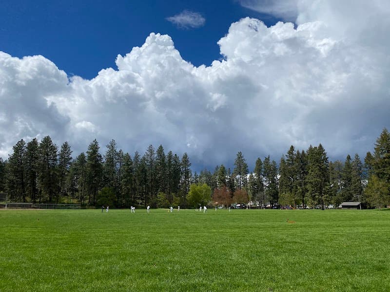 Photo by Sravanthi Chowdary (Google)