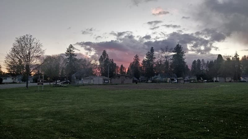 Photo by Keith Borgholthaus (Google)