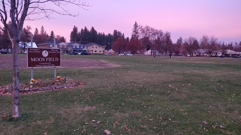 Photo by Keith Borgholthaus (Google)