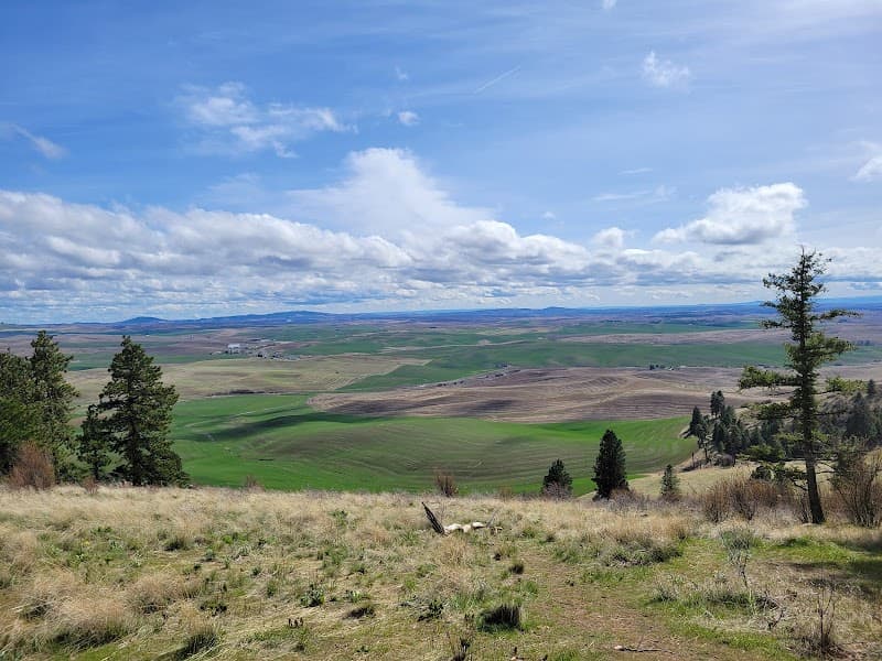 Photo by Rebecca Killick (Google)