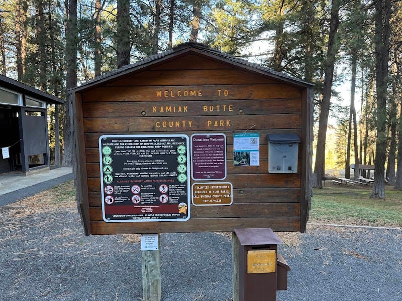 Photo by David Ren (Google)