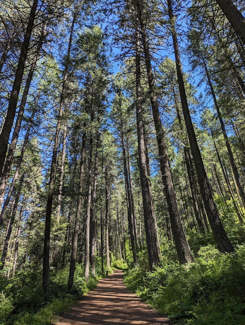 Kamiak Butte County Park