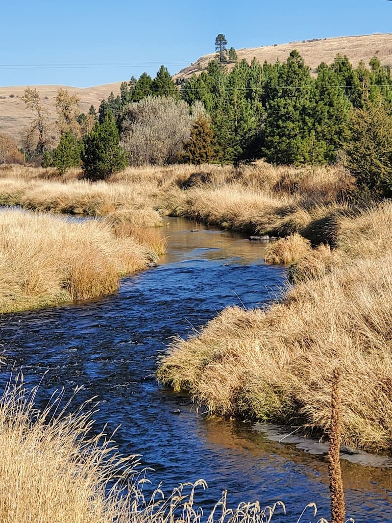 Photo by Cindy Rhodes (Google)