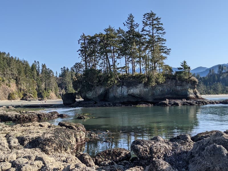 Photo by Noah Barfield (Google)