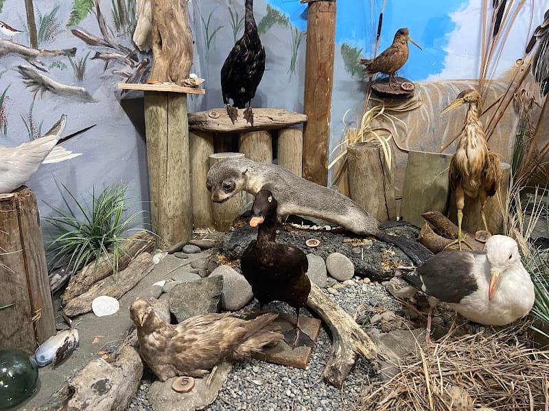 Coastal Interpretive Center